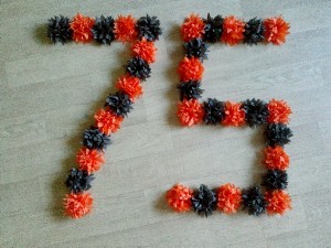 БЕЗДЕЛИНА АНЯ "9 МАЯ"